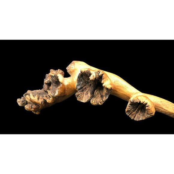 Hand-Carved Wooden Snake Sculpture On Seed Pod Root Base 15" Length - Picture 11 of 16